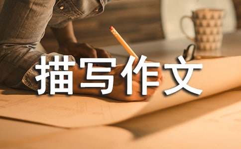 活動(dòng)場景描寫作文500字（通用24篇）