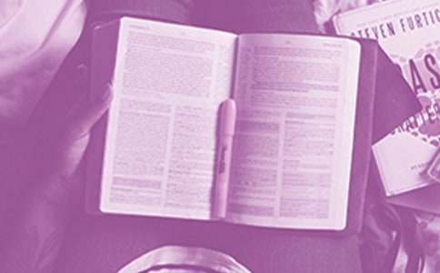 《白洋淀紀(jì)事》讀后感300字