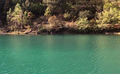 美麗江城作文700字(精選15篇)