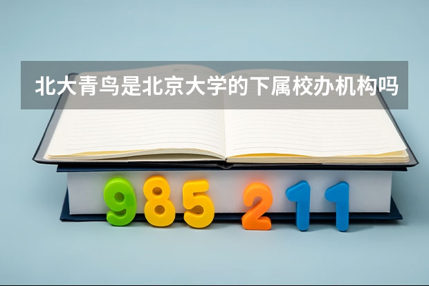 北大青鳥(niǎo)是北京大學(xué)的下屬校辦機(jī)構(gòu)嗎？