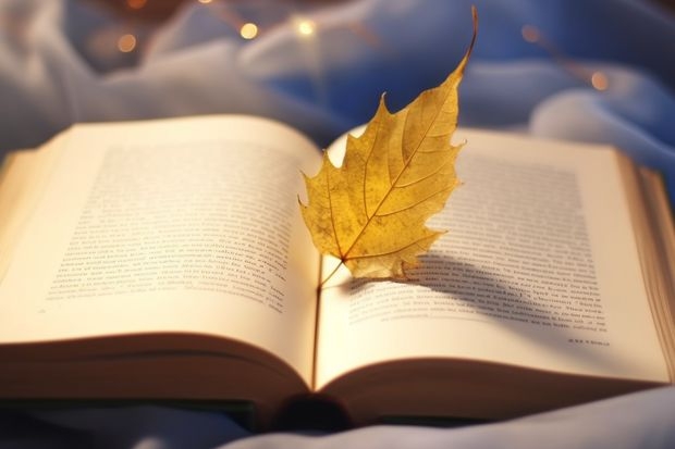 今天報了征集志愿。那通知書什么時候下？