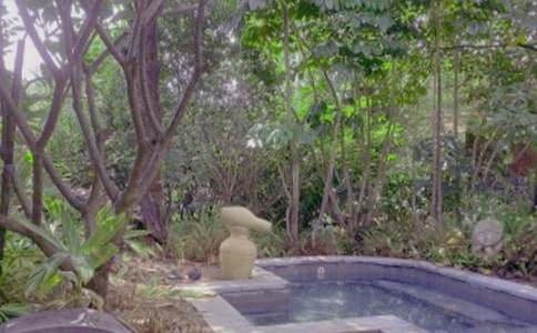 泡溫泉小學三年級作文550字(精選15篇)