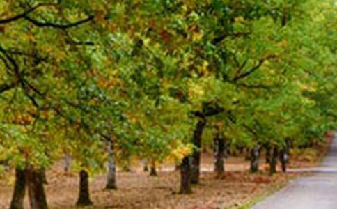 窗外的風景初三作文（通用35篇）