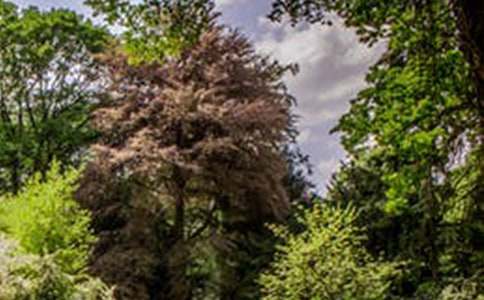 沿途的風(fēng)景作文600字(通用20篇)