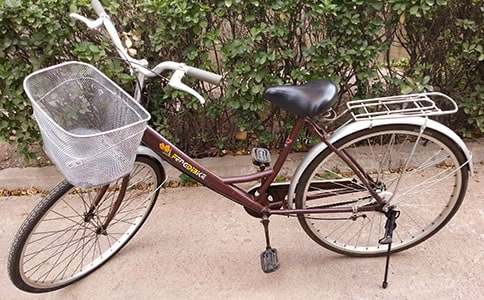 買自行車作文300字(通用15篇)