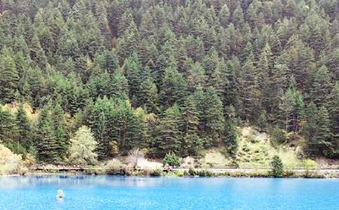 小學(xué)四年級作文:“九寨溝”游記(通用25篇)