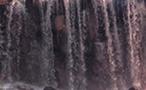 游桂林古東瀑布的作文（精選17篇）