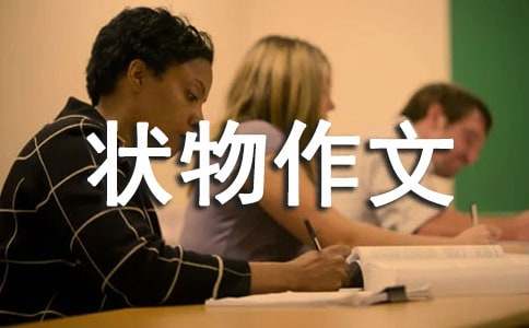 描寫(xiě)狀物作文600字(精選35篇)