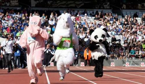 關(guān)于一年級運動會作文(通用20篇)