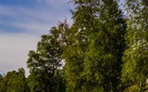 我眼中的風(fēng)景作文600字(通用18篇)