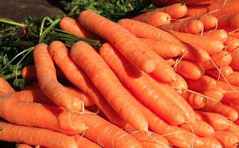 胡蘿卜先生的長(zhǎng)胡子續(xù)寫故事作文(精選34篇)