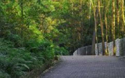 爬山記作文1500字(通用15篇)