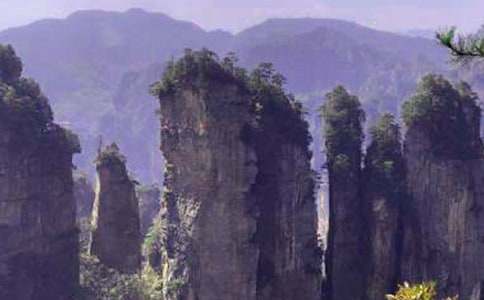 張家界游記作文300字19篇