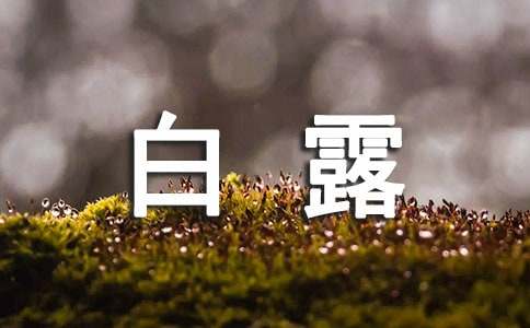關(guān)于白露的詩(shī)句(精選200句)