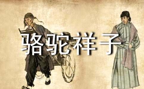 駱駝祥子讀后感初中鄒作文600字