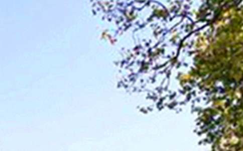 經(jīng)典治愈午安寄語匯總(通用80句)