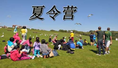 夏令營邀請函范文