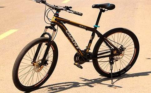 我學(xué)會(huì)了騎自行車四年級(jí)作文400字（通用67篇）