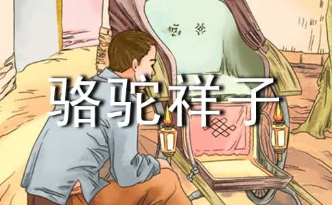 駱駝祥子名著的讀后感