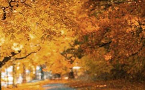 向往的風(fēng)景700字作文(通用42篇)