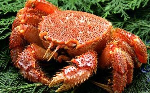 捉螃蟹作文一年級(精選17篇)