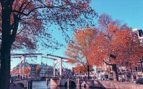 小學秋日賞菊作文（精選18篇）