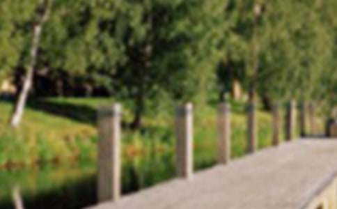 世紀(jì)公園一日游作文