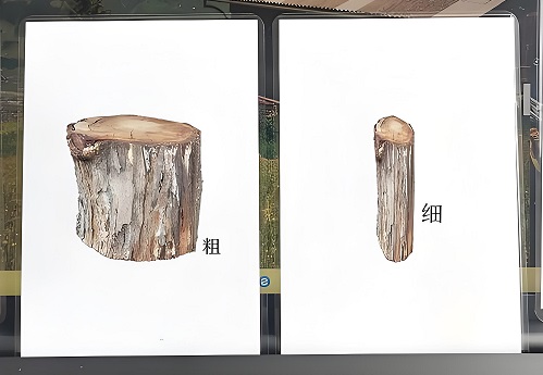 優(yōu)雅的反義詞