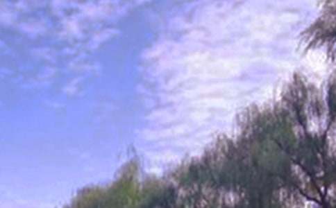 初中關(guān)于這里景色美作文600字(精選15篇)