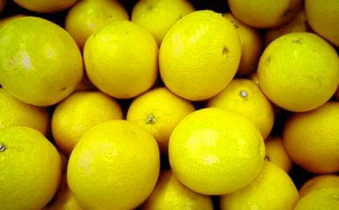 水果說明文作文(通用55篇)