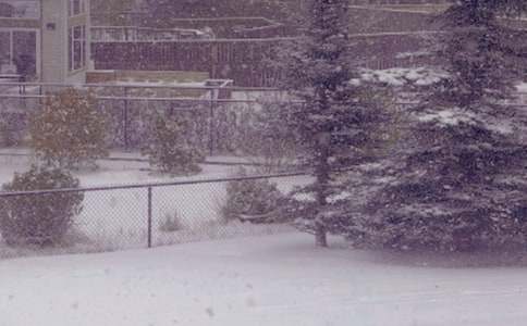 《紅色一號(hào)：冬日行動(dòng)》觀后感（通用11篇）