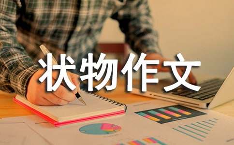 寫景狀物作文800字(精選63篇)