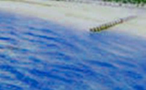 鄉(xiāng)村美景三年級(jí)優(yōu)秀作文550字(精選18篇)