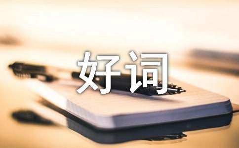 好詞作文300字(通用16篇)