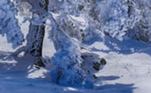 小雪的經(jīng)典諺語(yǔ)100句