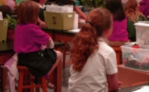 關(guān)于小學生應用文的好詞好句