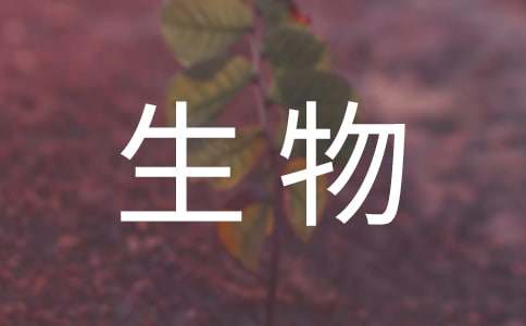 大學生物流專業(yè)實習報告