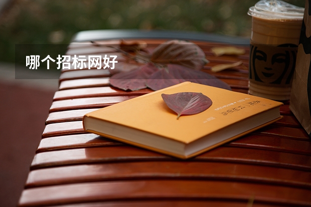 哪個(gè)招標(biāo)網(wǎng)好