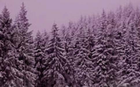 24節(jié)氣小雪的優(yōu)秀諺語150句