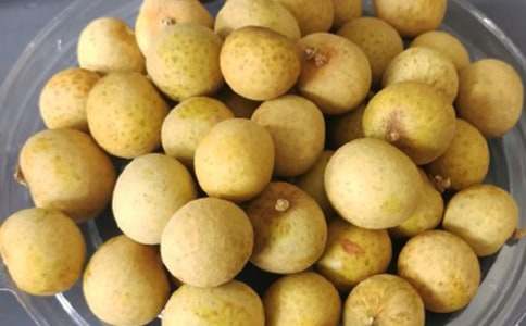 龍眼地大冒險(xiǎn)初中作文300字(精選10篇)