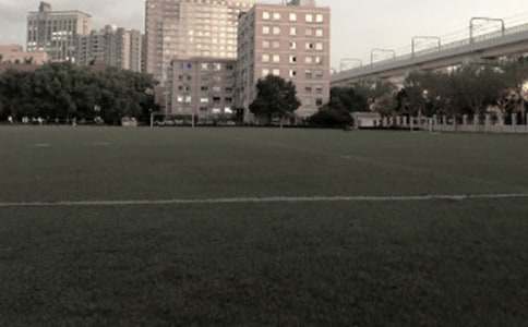 描寫操場的作文500字(精選30篇)