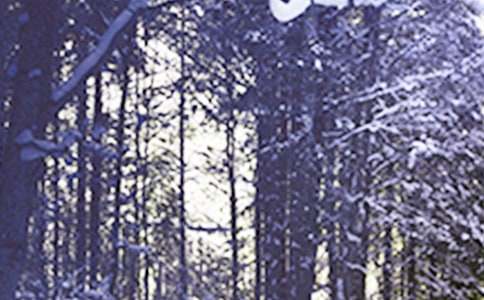 關于二十四節(jié)氣小雪的諺語120句