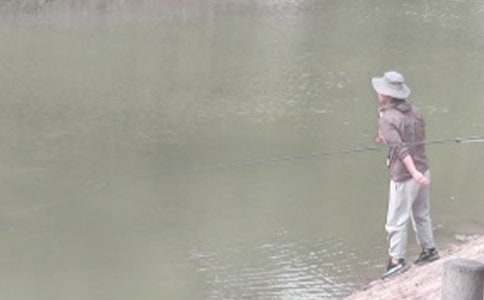 二年級釣魚作文(熱門)