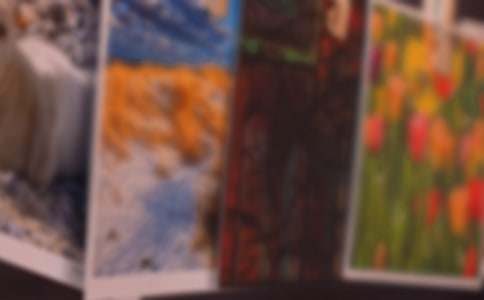 照片里的溫情作文1500字(精選5篇)