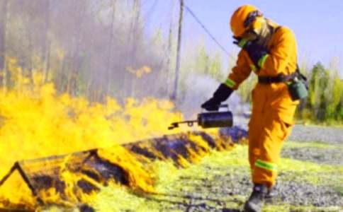 學(xué)生作文:給消防戰(zhàn)士的一封信(精選11篇)