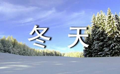冬天的第一場(chǎng)雪小學(xué)生優(yōu)秀作文200字(通用42篇)