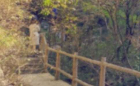 爬山二年級(jí)作文(精選42篇)