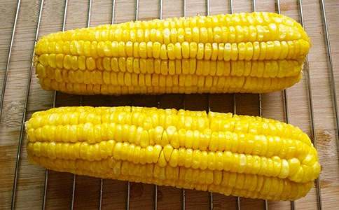 介紹玉米說明文（通用17篇）