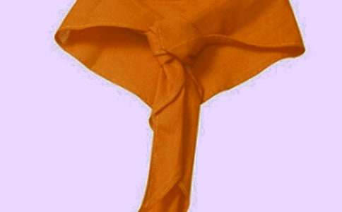 紅領(lǐng)巾相約中國夢初二作文(精選11篇)