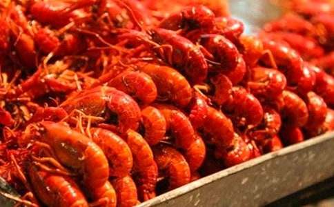 描寫龍蝦的作文400字(通用36篇)